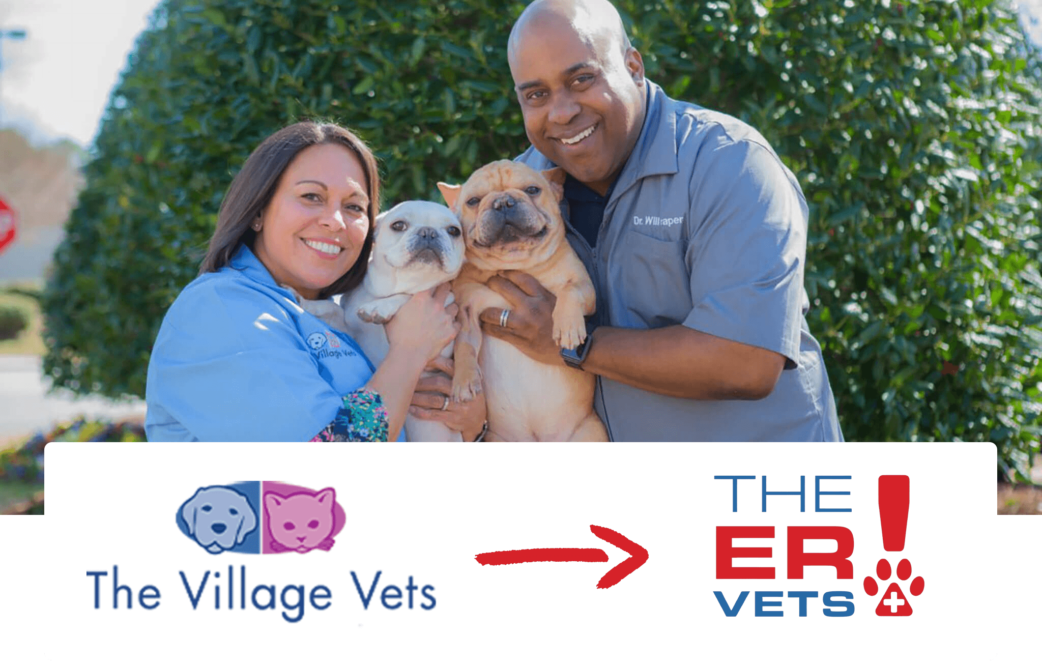 male and female vets holding french bulldogs and logos underneath