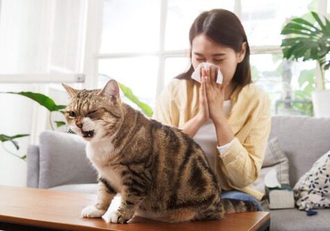Cat Coughing