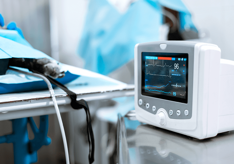 closeup of veterinary ECG monitor